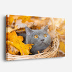 cuadro canvas mascotas duque otoñal horizontal