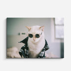 cuadro canvas mascotas lentes felinos horizontal