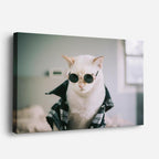 cuadro canvas mascotas lentes felinos horizontal