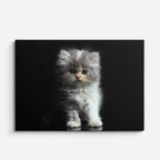 cuadro canvas mascotas nube de seda horizontal