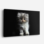 cuadro canvas mascotas nube de seda horizontal