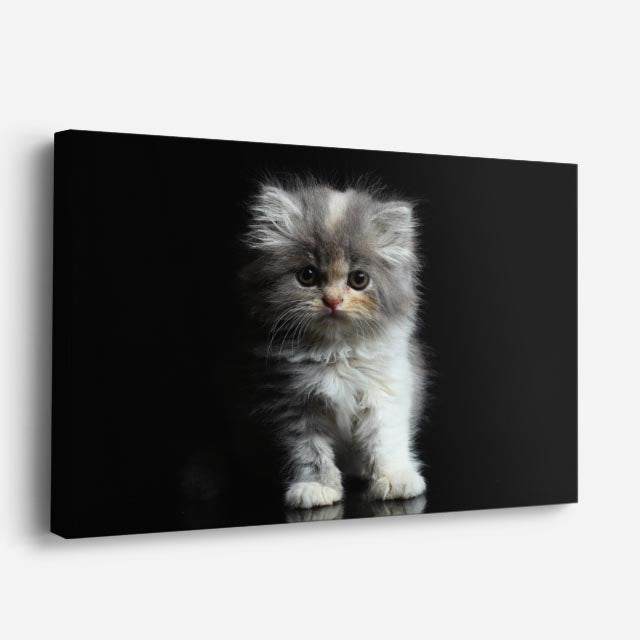 cuadro canvas mascotas nube de seda horizontal
