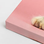cuadro canvas mascotas reina rosada horizontal