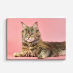 cuadro canvas mascotas reina rosada horizontal