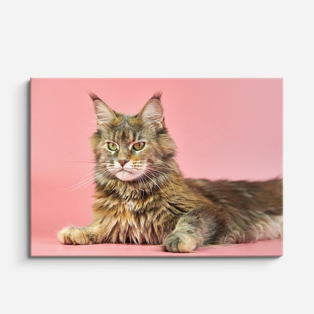 cuadro canvas mascotas reina rosada horizontal