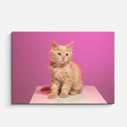 cuadro canvas mascotas cachorro magenta horizontal