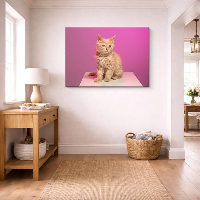 cuadro canvas mascotas cachorro magenta horizontal