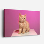 cuadro canvas mascotas cachorro magenta horizontal