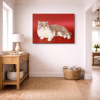 cuadro canvas mascotas reposo carmesí horizontal