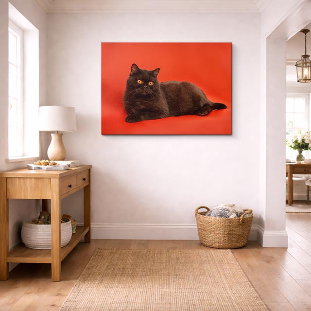 cuadro canvas mascotas sombra rubí horizontal