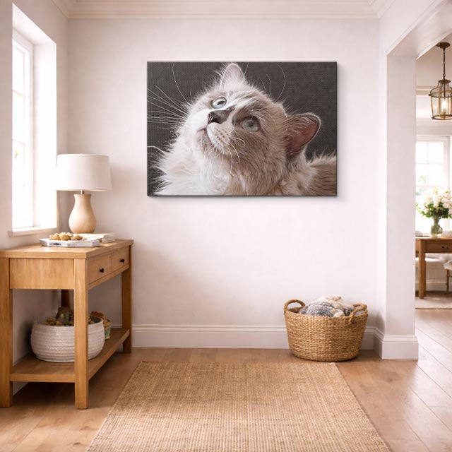 cuadro canvas mascotas mirada de cristal horizontal