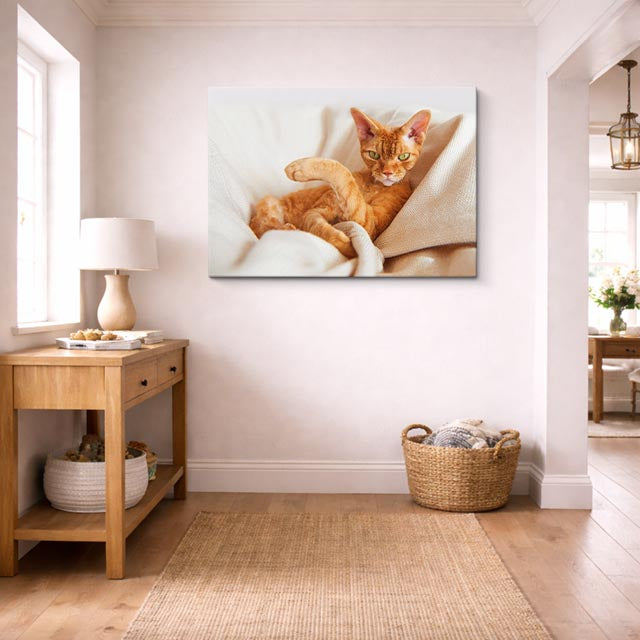 cuadro canvas mascotas abrazo tangerina horizontal