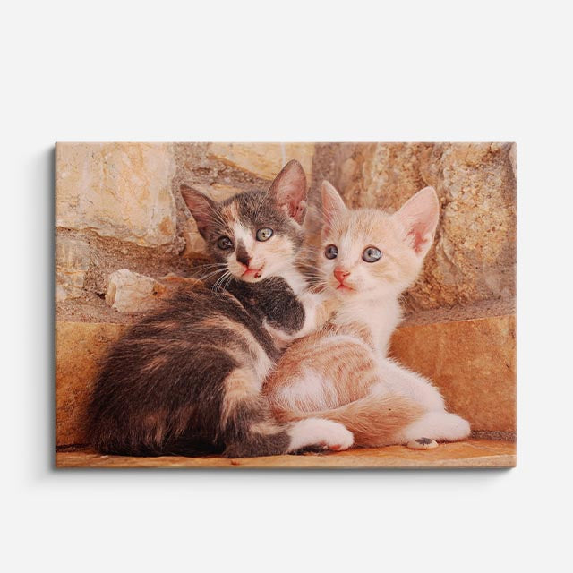 cuadro canvas mascotas dúo de piedra horizontal
