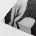 cuadro canvas mascotas sueño algodón horizontal
