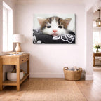 cuadro canvas mascotas sueño algodón horizontal