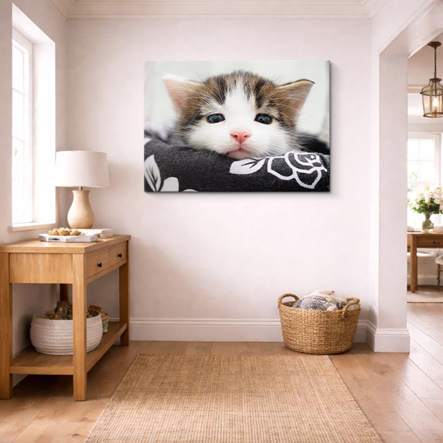cuadro canvas mascotas sueño algodón horizontal