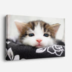 cuadro canvas mascotas sueño algodón horizontal
