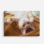 cuadro canvas mascotas juego invertido horizontal