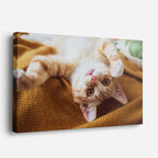 cuadro canvas mascotas juego invertido horizontal