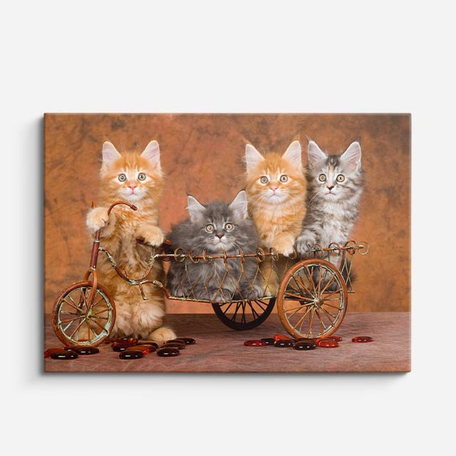 cuadro canvas mascotas paseo gatuno horizontal
