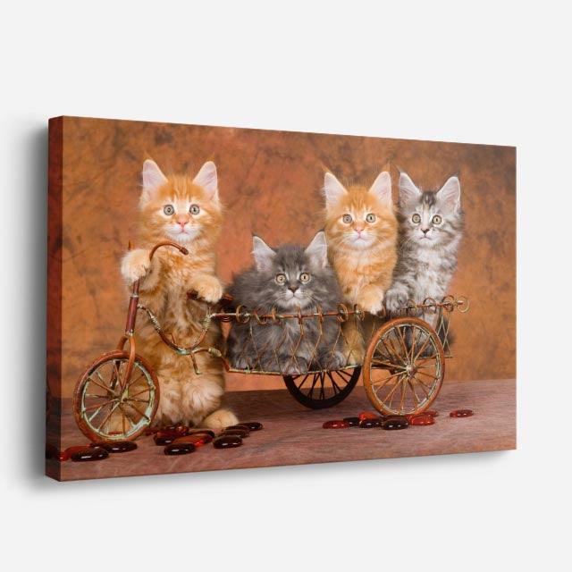 cuadro canvas mascotas paseo gatuno horizontal