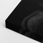 cuadro canvas mascotas esmeralda nocturna horizontal