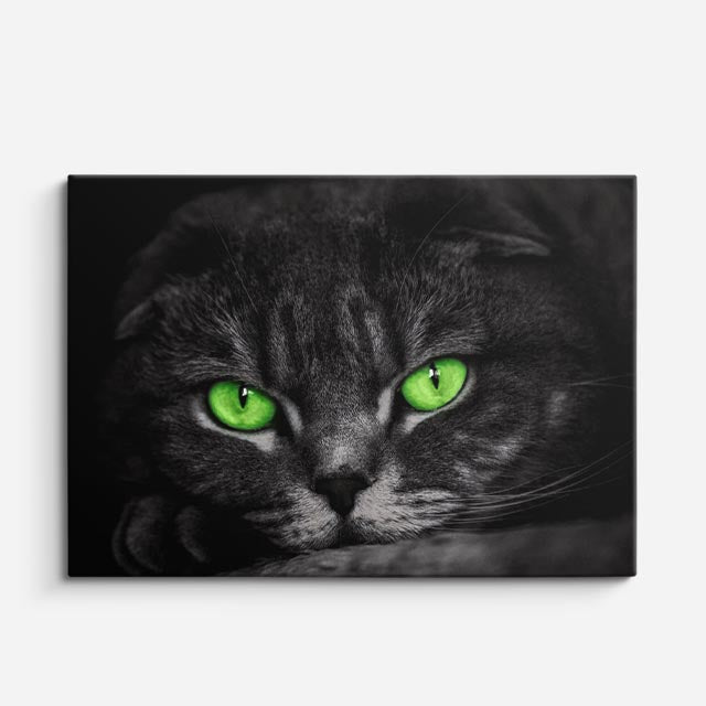 cuadro canvas mascotas esmeralda nocturna horizontal
