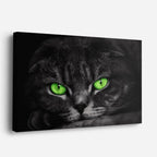 cuadro canvas mascotas esmeralda nocturna horizontal