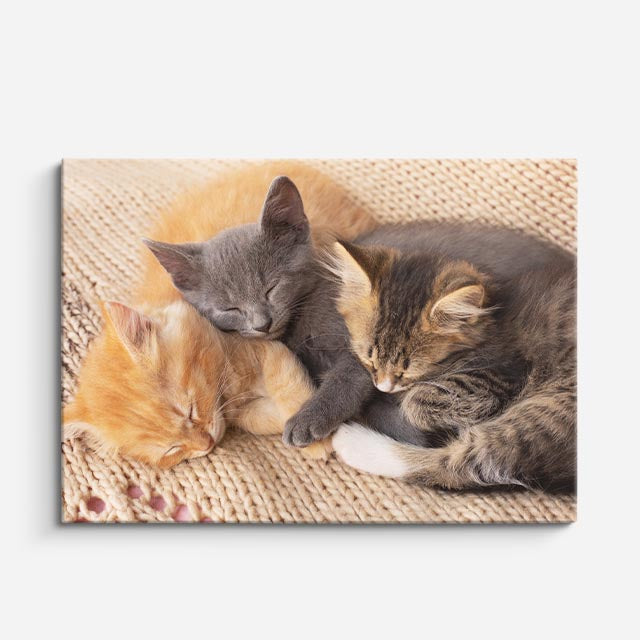 cuadro canvas mascotas siesta familiar horizontal