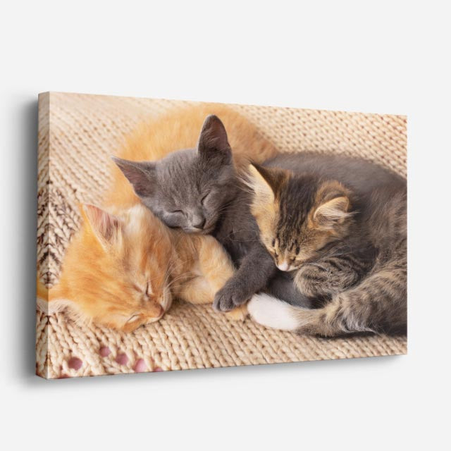 cuadro canvas mascotas siesta familiar horizontal