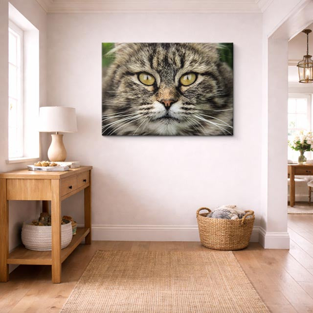 cuadro canvas mascotas mirada salvaje horizontal