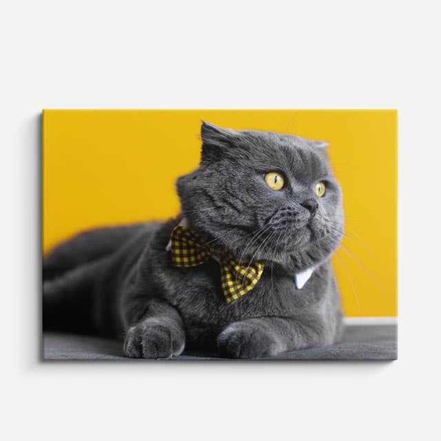 cuadro canvas mascotas moño dorado horizontal