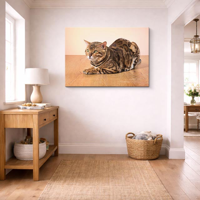 cuadro canvas mascotas reposo bengalí horizontal
