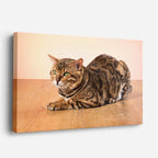 cuadro canvas mascotas reposo bengalí horizontal