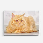 cuadro canvas mascotas sol de miel horizontal