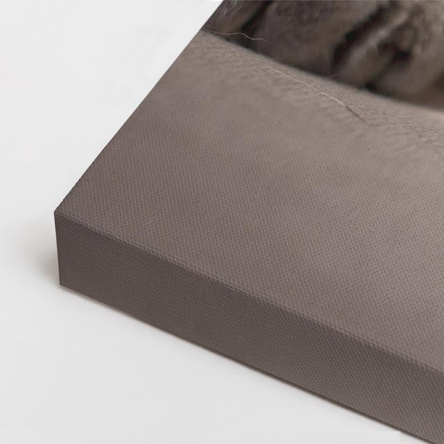 cuadro canvas mascotas domingo chic horizontal