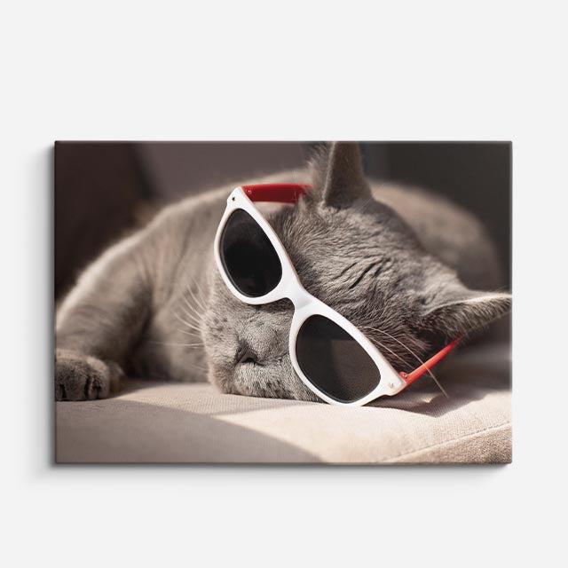 cuadro canvas mascotas domingo chic horizontal