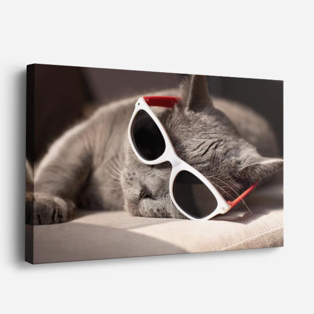 cuadro canvas mascotas domingo chic horizontal