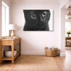 cuadro canvas mascotas asombro nocturno horizontal