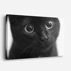 cuadro canvas mascotas asombro nocturno horizontal