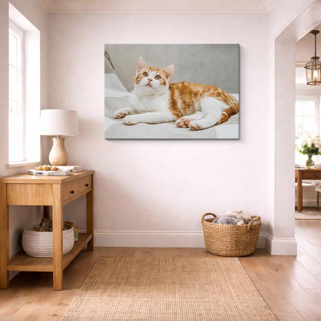 cuadro canvas mascotas sueño tangerina horizontal