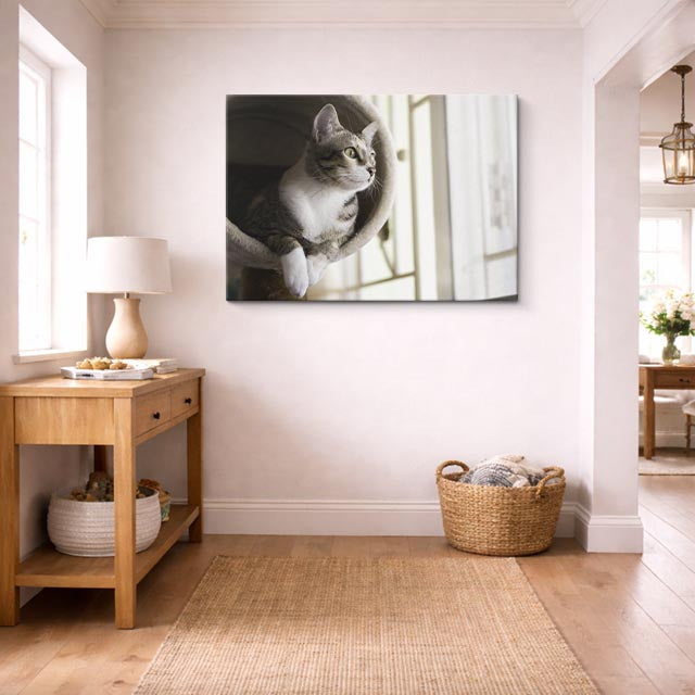 cuadro canvas mascotas ventana serena horizontal