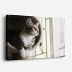 cuadro canvas mascotas ventana serena horizontal