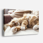 cuadro canvas mascotas siesta de seda horizontal