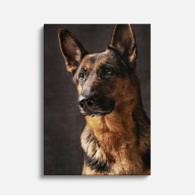 cuadro canvas mascotas pastor de ébano vertical