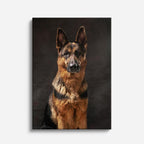 cuadro canvas mascotas retrato del pastor vertical