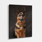 cuadro canvas mascotas retrato del pastor vertical