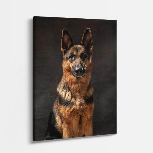 cuadro canvas mascotas retrato del pastor vertical