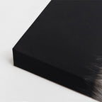cuadro canvas mascotas sonrisa canina vertical