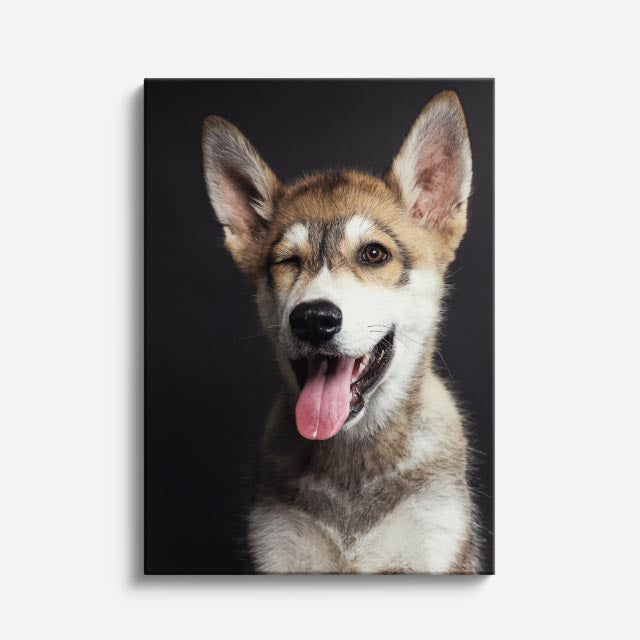 cuadro canvas mascotas sonrisa canina vertical